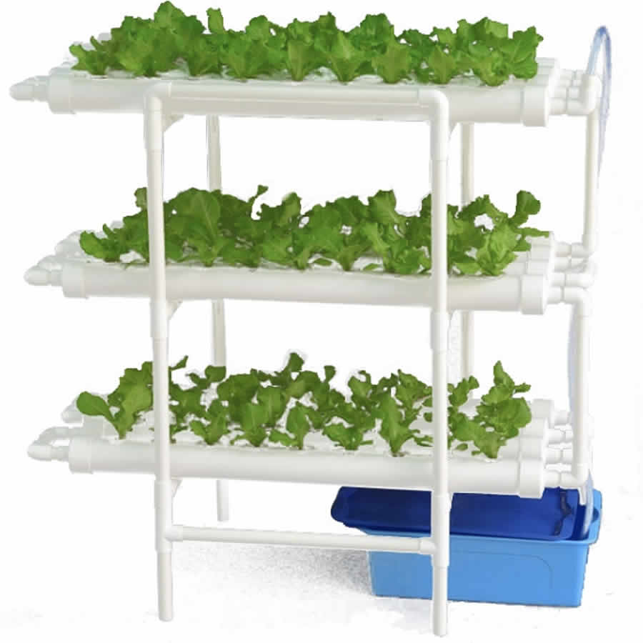 A three tier NFT hydroponic system in use